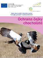 Ochrana čejky chocholaté