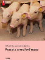 Situační a výhledová zpráva: Prasata a vepřové maso 2026