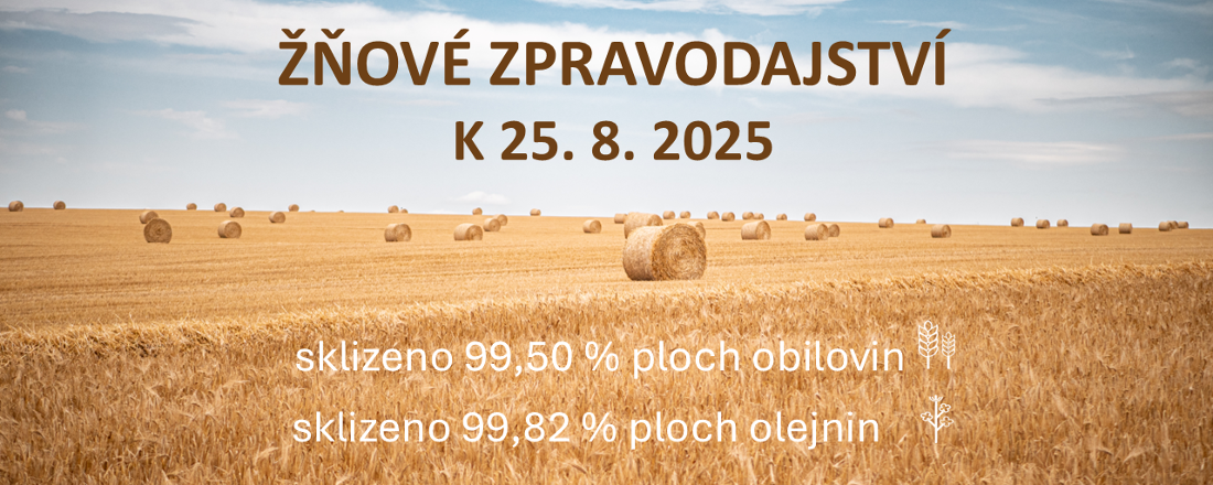 Postup sklizně obilnin a řepky v České republice