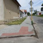 Mnetěš