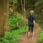 Nordic walking (NW) Novohradsko – lekce/kurzy/akce zaměřené na NW, obchod a půjčovna potřeb pro NW