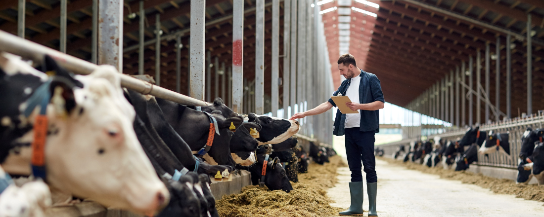 6. kolo rozvoje venkova: 1,5 miliardy korun pro mladé zemědělce, 3,5 miliardy na investice do zemědělských podniků 