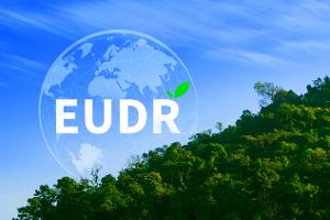 Nařízení proti odlesňování bude odloženo a zjednodušeno