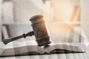 Ministr zemědělství: Do fungování Státního zemědělského intervenčního fondu nezasahuji, chci, aby vždy postupoval dle platného právního stavu