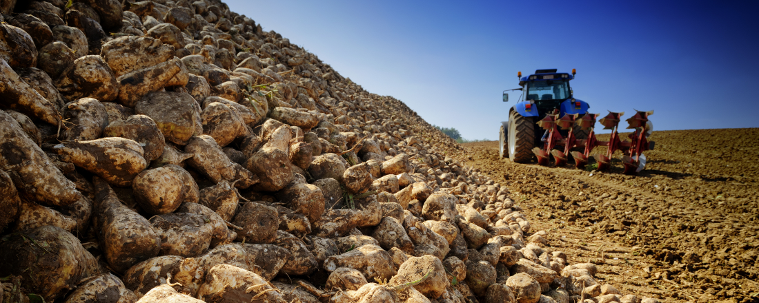 Sazby mimořádné finanční podpory pro zemědělce postižené povodněmi v roce 2024