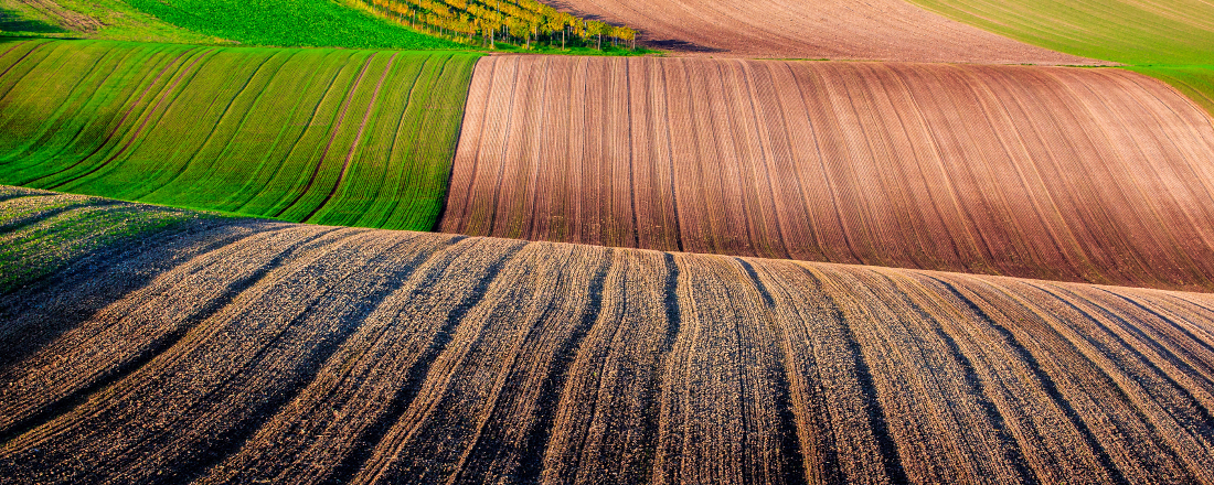 Sazby přímých plateb pro rok 2025: Příspěvky na hospodaření s ohledem na krajinu a krajinné prvky