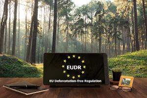 Evropská Komise znovu otevřela Informační systém EUDR