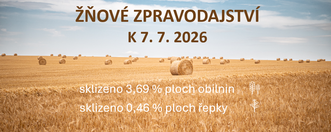 Postup sklizně obilnin a řepky v České republice k 6. červenci 2026