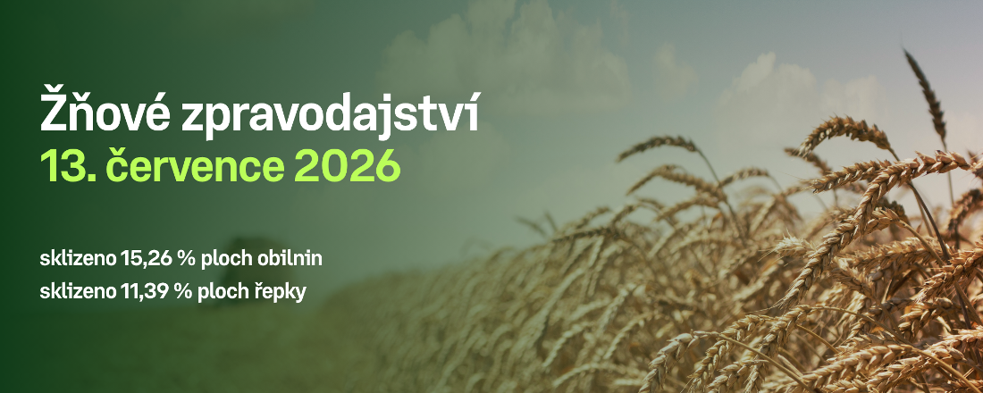 Postup sklizně obilnin a řepky v České republice k 12. červenci 2026