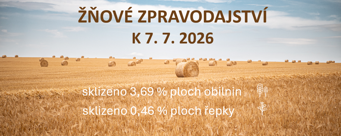 Postup sklizně obilnin a řepky v České republice k 6. červenci 2026