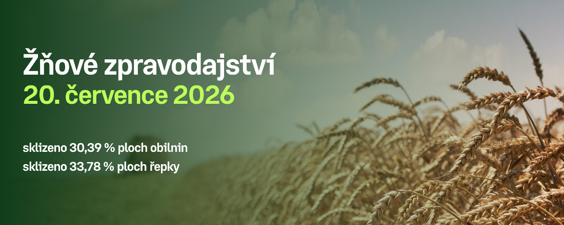 Postup sklizně obilnin a řepky v České republice k 19. červenci 2026
