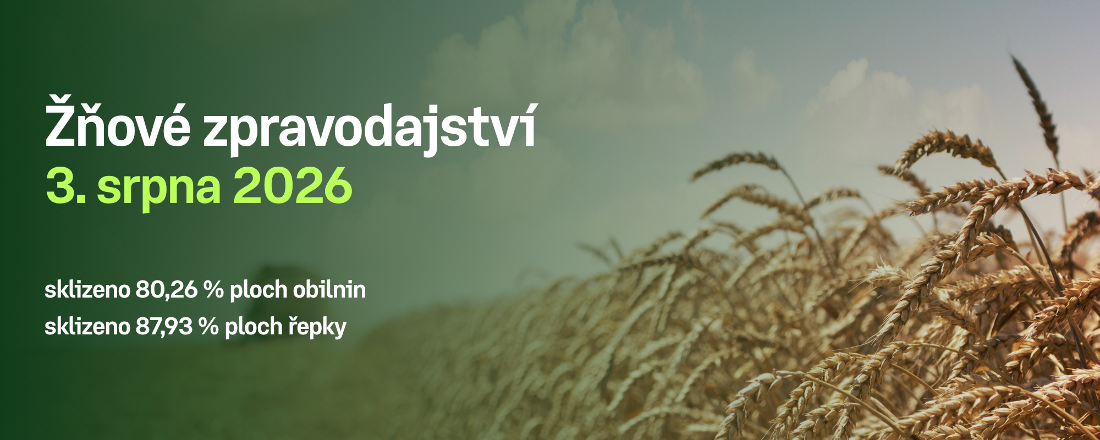 Postup sklizně obilnin a řepky v České republice k 3. srpnu 2026