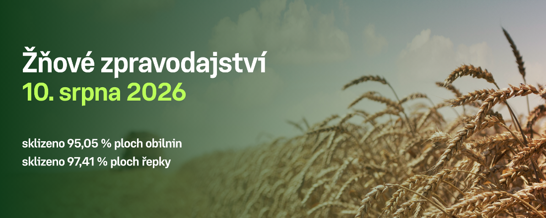 Postup sklizně obilnin a řepky v České republice k 9. srpnu 2026