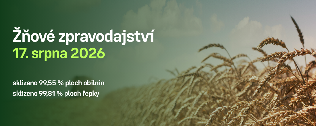 Postup sklizně obilnin a řepky v České republice k 16. srpnu 2026