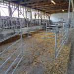 Modernizace živočišné výroby - AGRO PODLESÍ, a.s. 