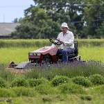 Multifunkční malotraktor Panter FD5