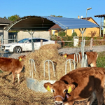 Investice do zemědělského podniku