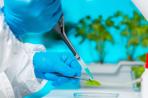 Ministerstvo zemědělství myslí na budoucnost. Letos poskytne na genetické zdroje 90 milionů korun