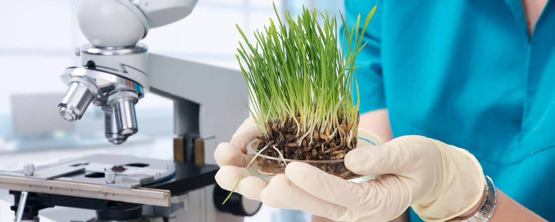 MZe letos poskytne na genetické zdroje 90 milionů korun