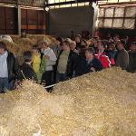 Žlutice - energeticky soběstačná obec