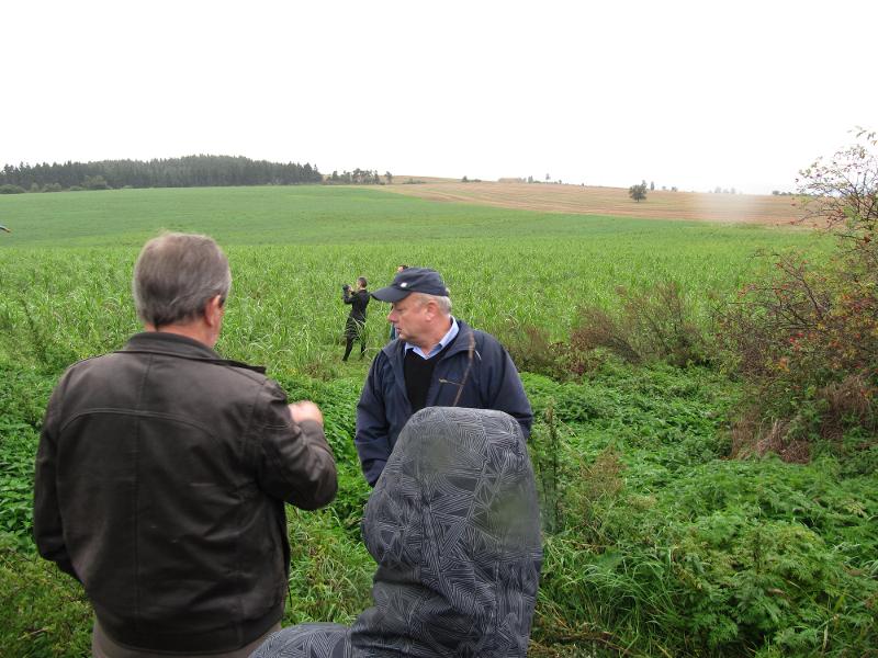 Žlutice - energeticky soběstačná obec