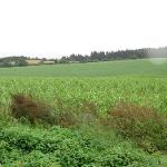 Žlutice - energeticky soběstačná obec