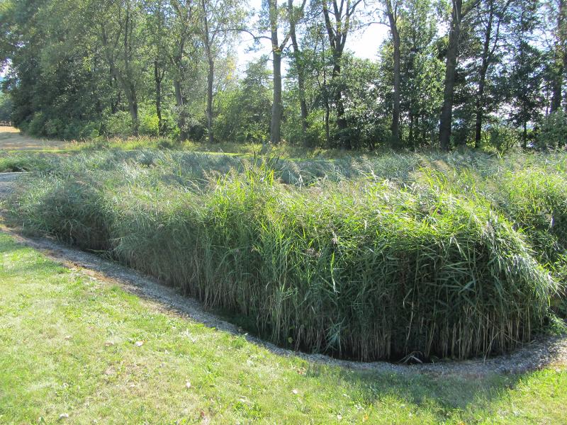 Osíčko