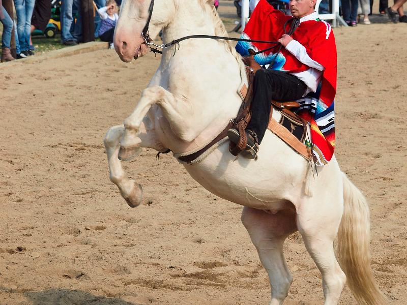 Farmářské slavnosti na statku v Židovicích