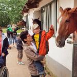 Farmářské slavnosti na statku v Židovicích