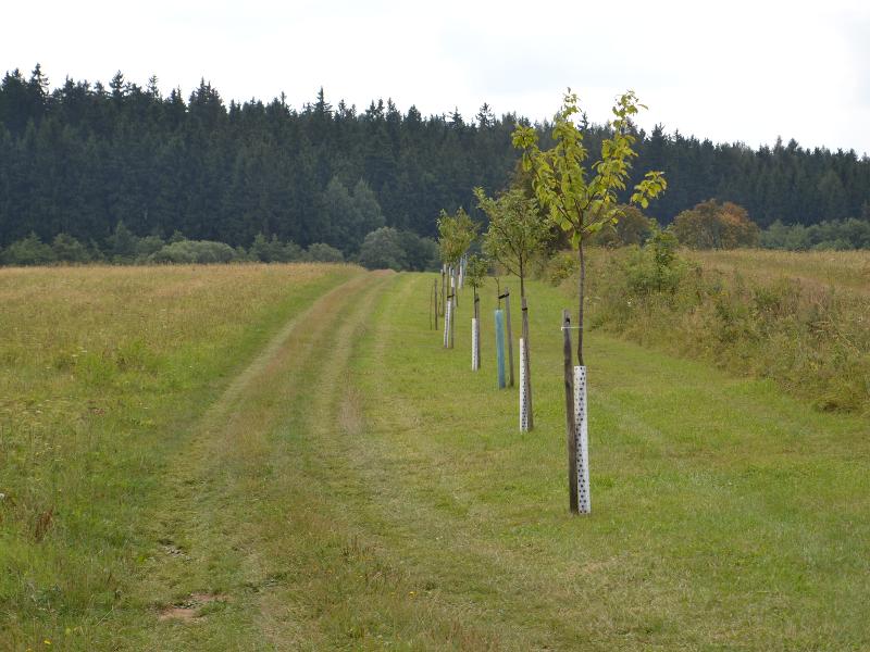 Obec Otročín, Karlovarský kraj