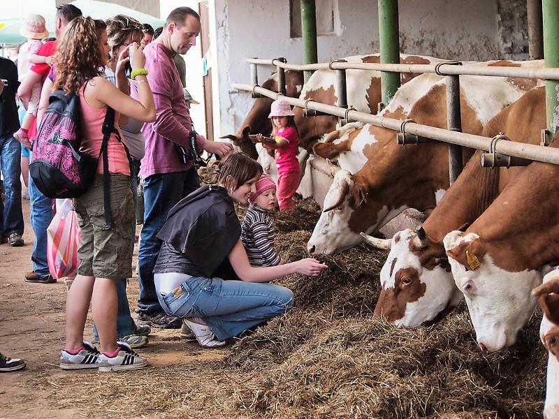 Farmářské slavnosti v Klášterské Lhotě