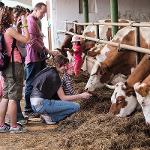 Farmářské slavnosti v Klášterské Lhotě