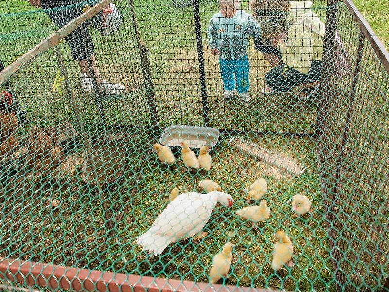 Farmářské slavnosti na Statku U Dašků