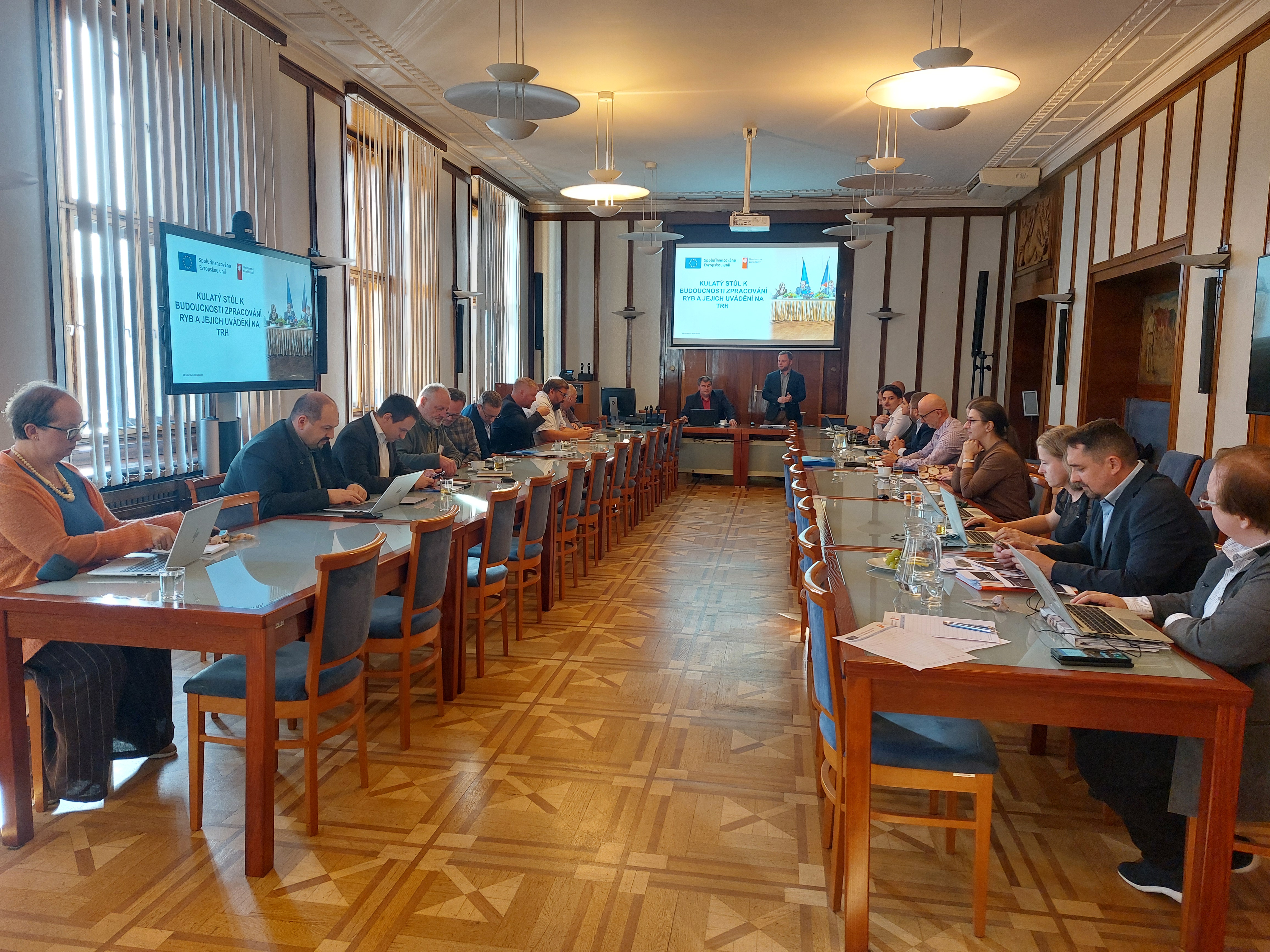 České ryby mají mířit častěji do školních jídelen
