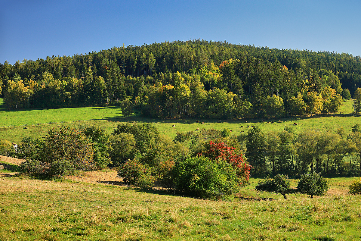 Investice do nezemědělských činností – Jiří Zelený