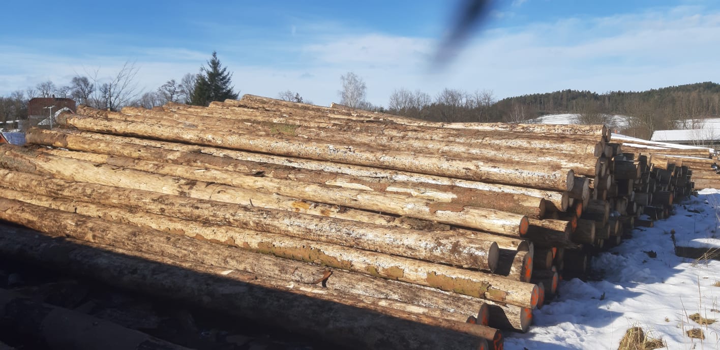 Informace pro žadatele a vývozce o vystavení rostlinolékařských dokladů pro export dřeva 2025