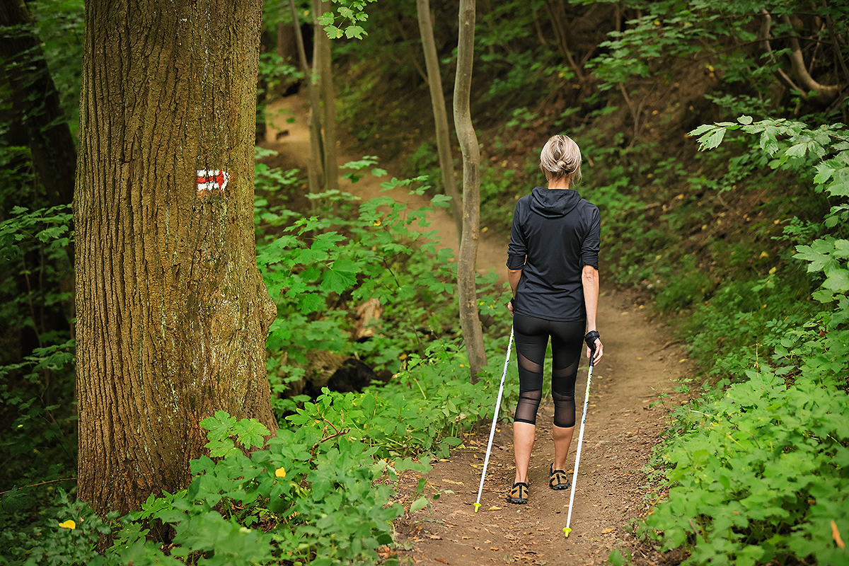 Nordic walking  (NW) Novohradsko – lekce/kurzy/akce zaměřené na NW, obchod a půjčovna potřeb pro NW