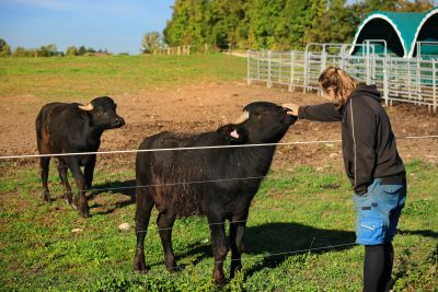 Strategie pro generační obnovu v zemědělství