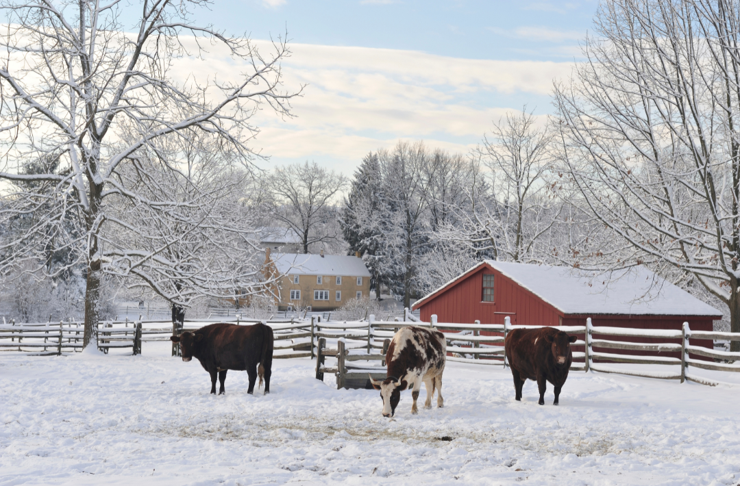 Novela zákona o pyrotechnice vstupuje v účinnost 1. prosince 2025