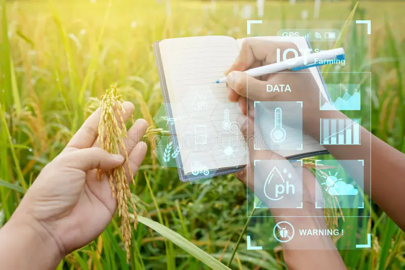 Vyhlášení výsledků veřejné soutěže ve výzkumu, vývoji a inovacích v rámci Programu aplikovaného výzkumu Ministerstva zemědělství na období 2024-2032, ZEMĚ II