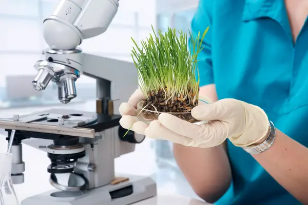 Cena ministra zemědělství pro mladé vědkyně a vědce 2026