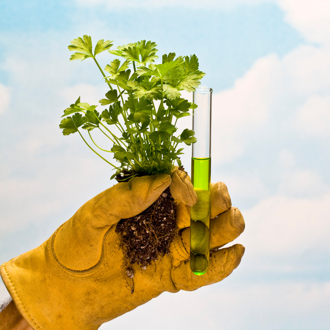 Je čas přihlásit nejlepší zemědělské výzkumníky na Ceny ministra zemědělství. Dnes se začínají přijímat návrhy na ocenění za výzkum. 