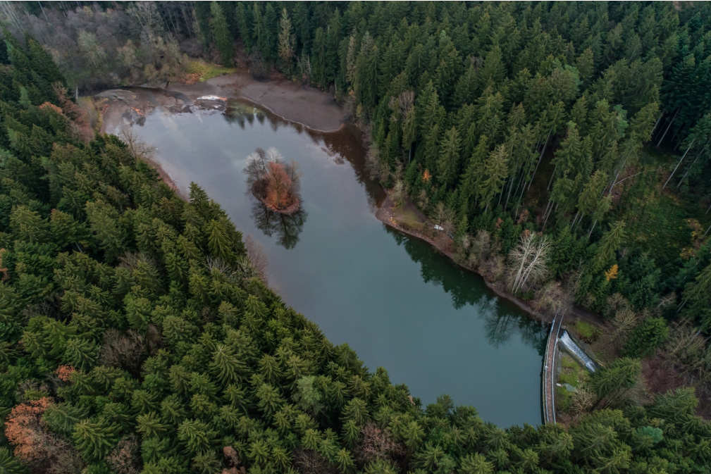 Ivanské jezero u Rychnova nad Kněžnou bude obnoveno. Ministerstvo zemědělství na to poskytne 70 milionů korun. 