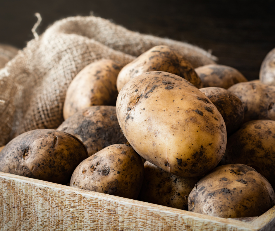 ÚKZÚZ upozorňuje prodejce nesadbových brambor původem z Egypta na opatření proti šíření karanténní choroby bramboru