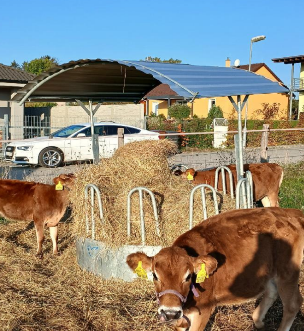 Investice do zemědělského podniku