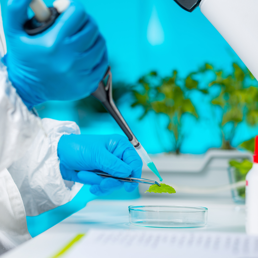 Ministerstvo zemědělství myslí na budoucnost. Letos poskytne na genetické zdroje 90 milionů korun