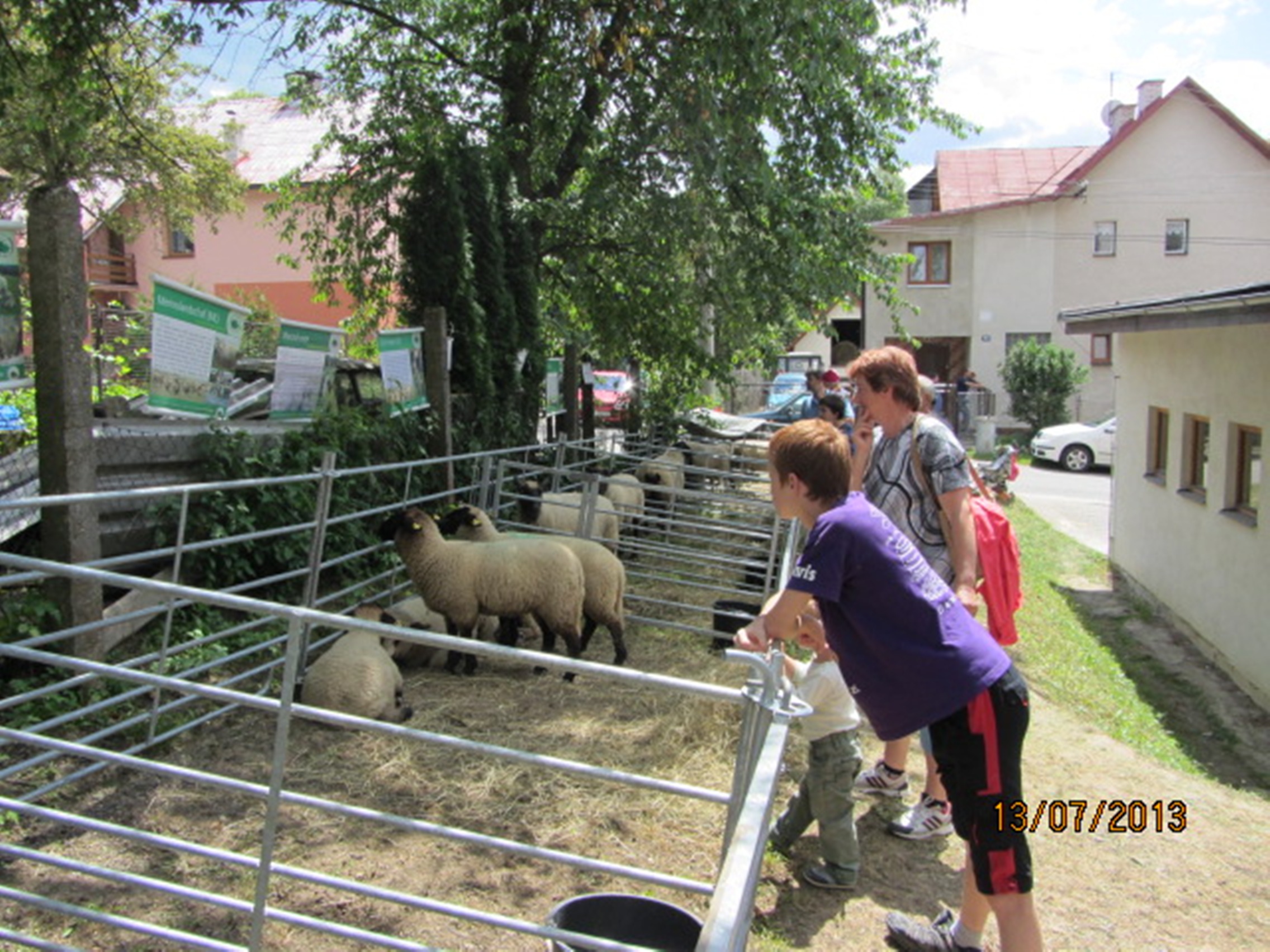 Prlov 2013