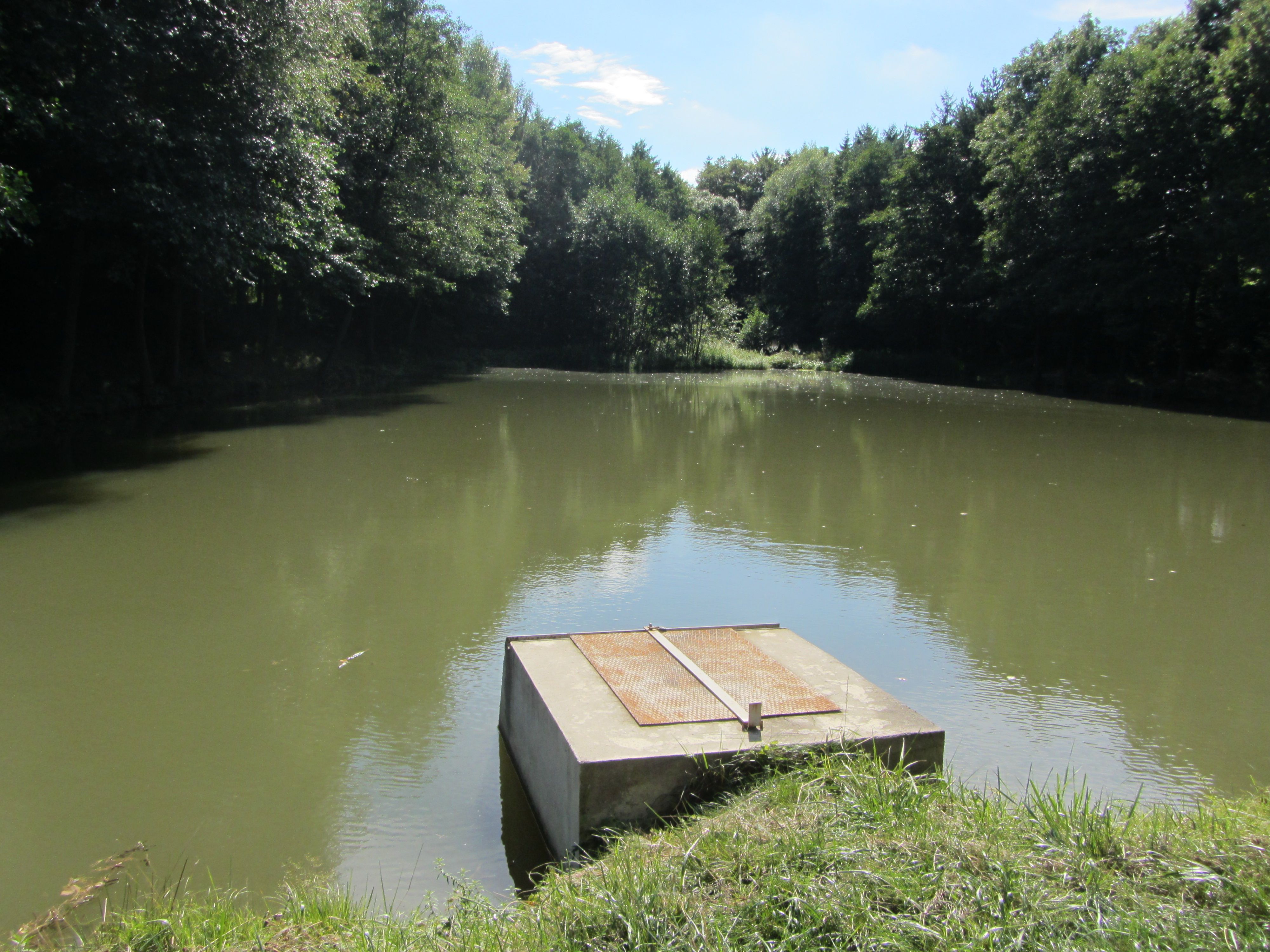 Osíčko