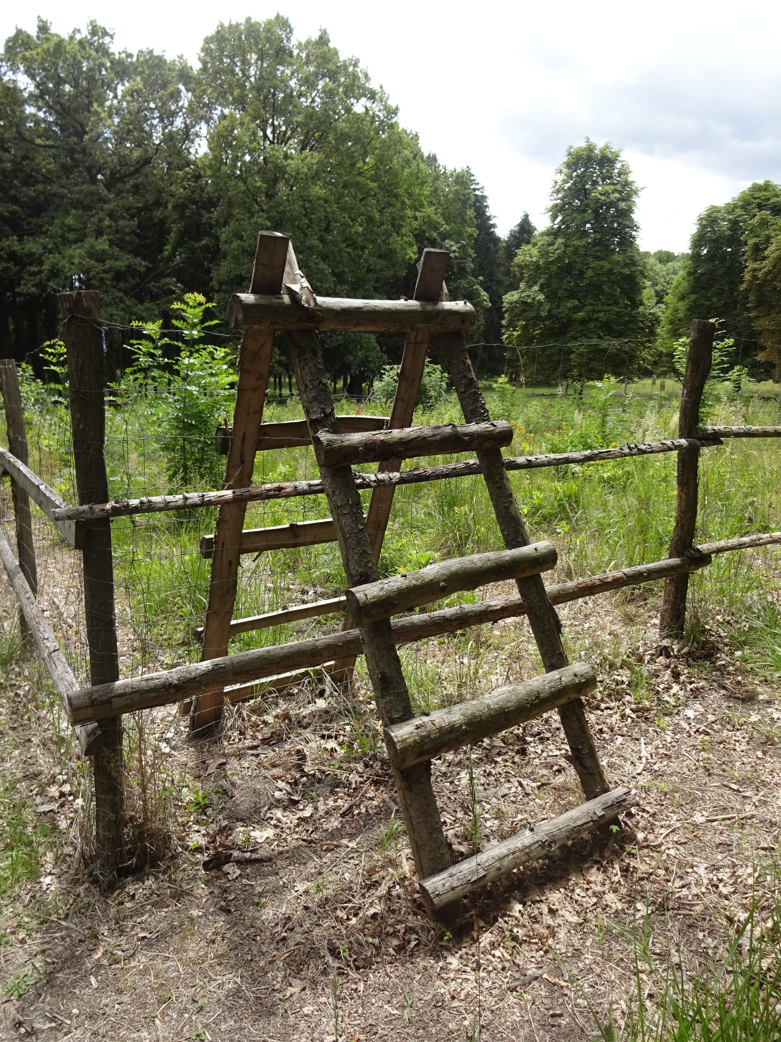 Kinský dal Borgo - ochrana MZD oplocením 2016