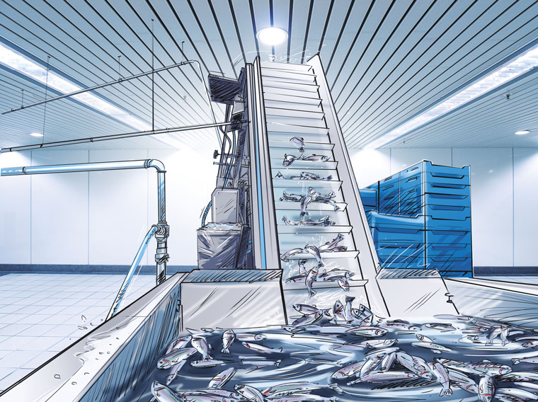 Zpracování produktů